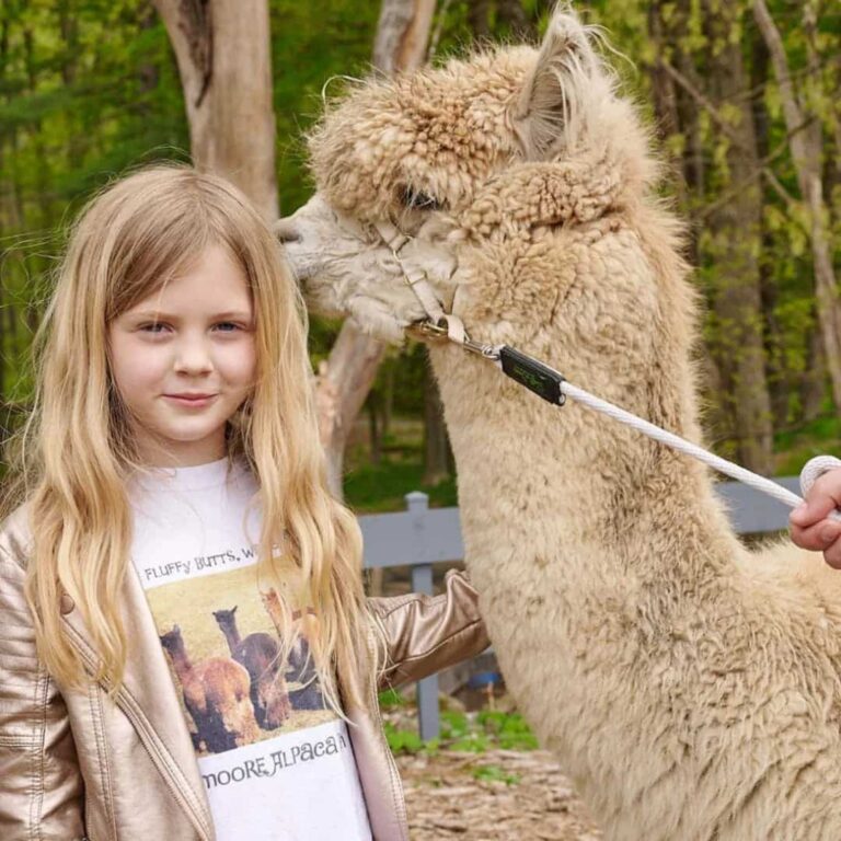 book a farm tour at lilymoore farm